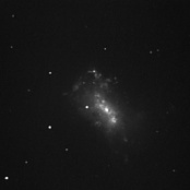 NGC4449 Ir (CVn) 15 avril 2007 - T192+Toucam II n/b